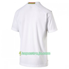 Billiga Fotbollströjor Ghana Borta tröja 2018